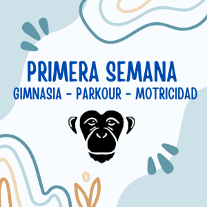 8.- Publicacion 1